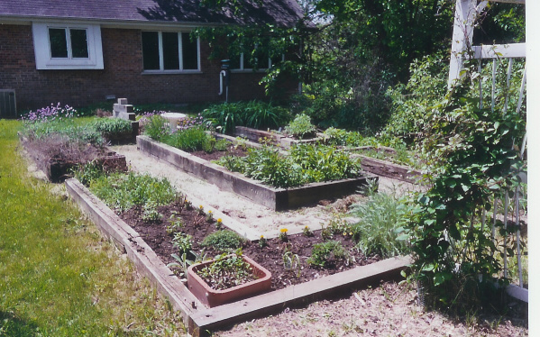 Early May Herb Garden.jpg